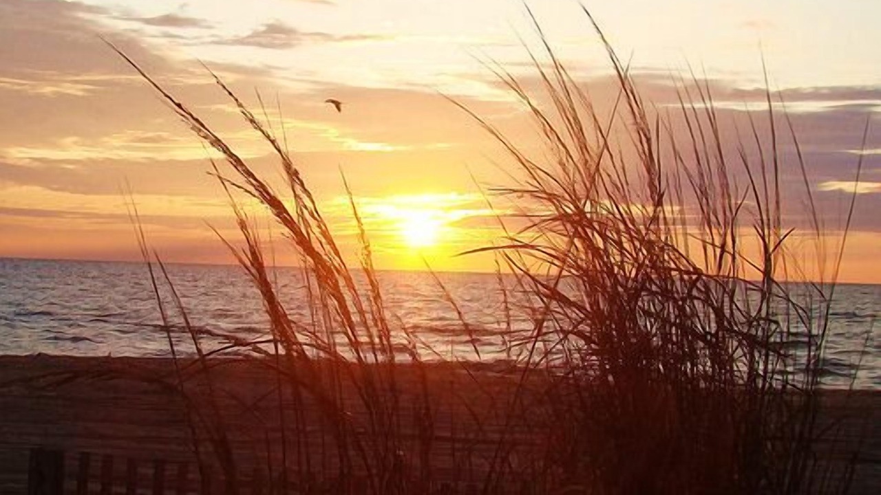 Photo of Others in Midtown Ocean City