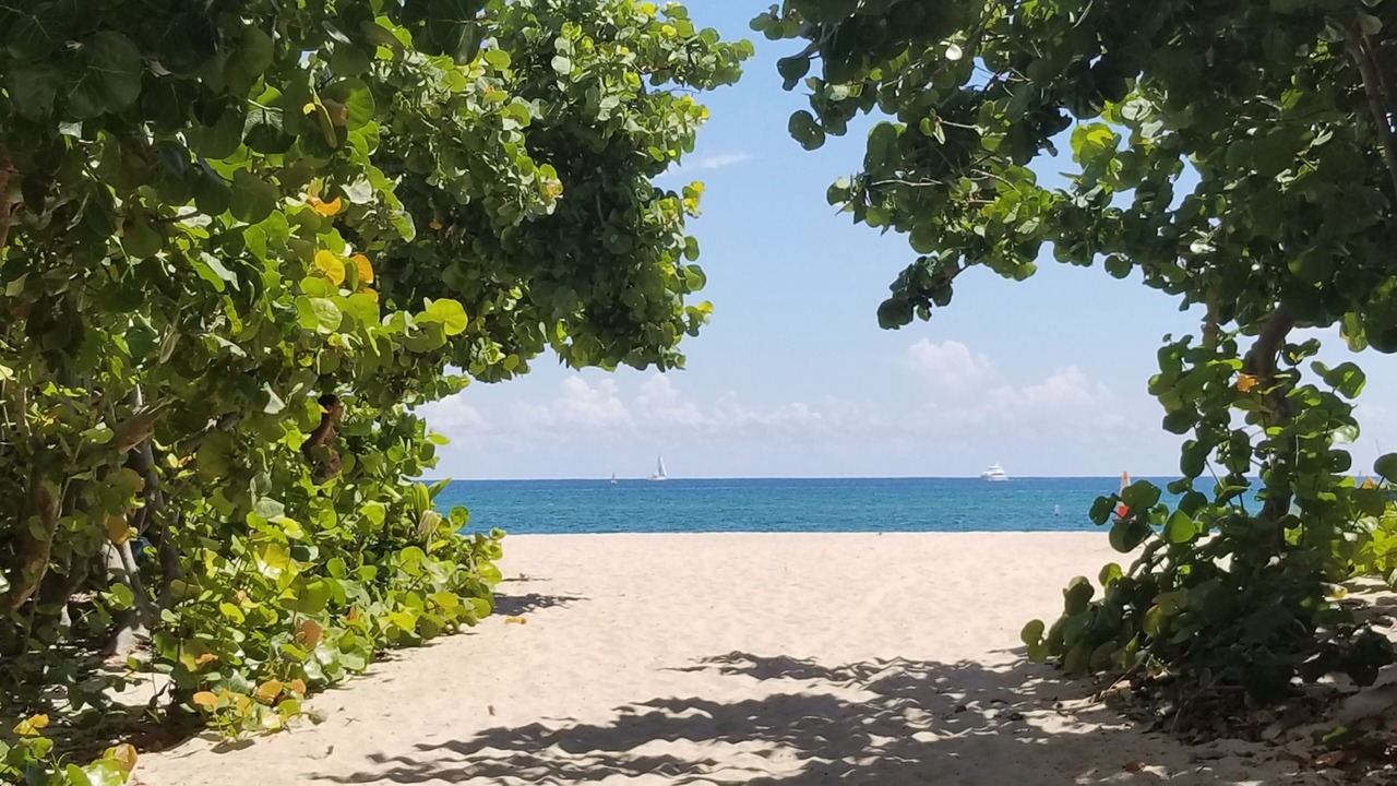 Photo of Others in Deerfield Beach