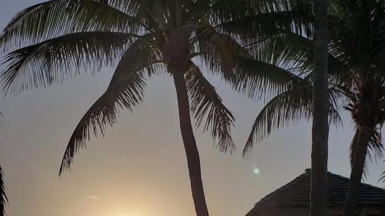 Photo of Others in Deerfield Beach