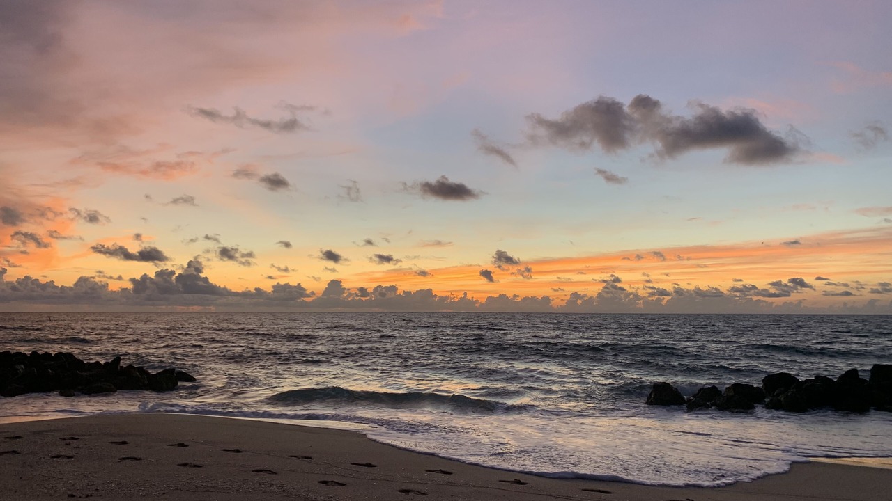 Photo of Others in Deerfield Beach