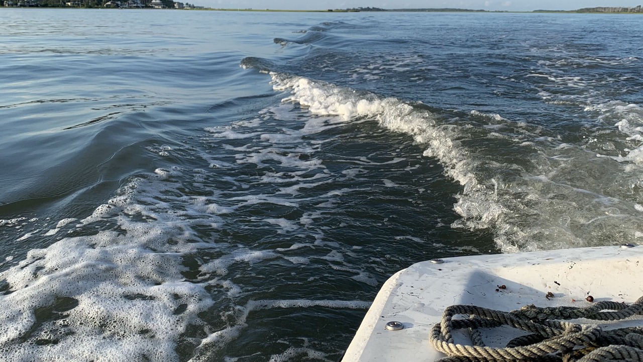 Photo of Others in Chincoteague