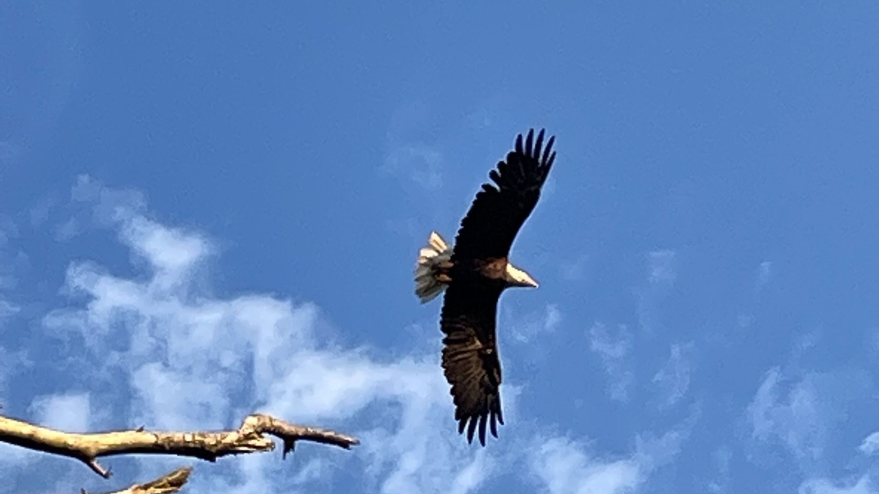 Photo of Others in Chincoteague