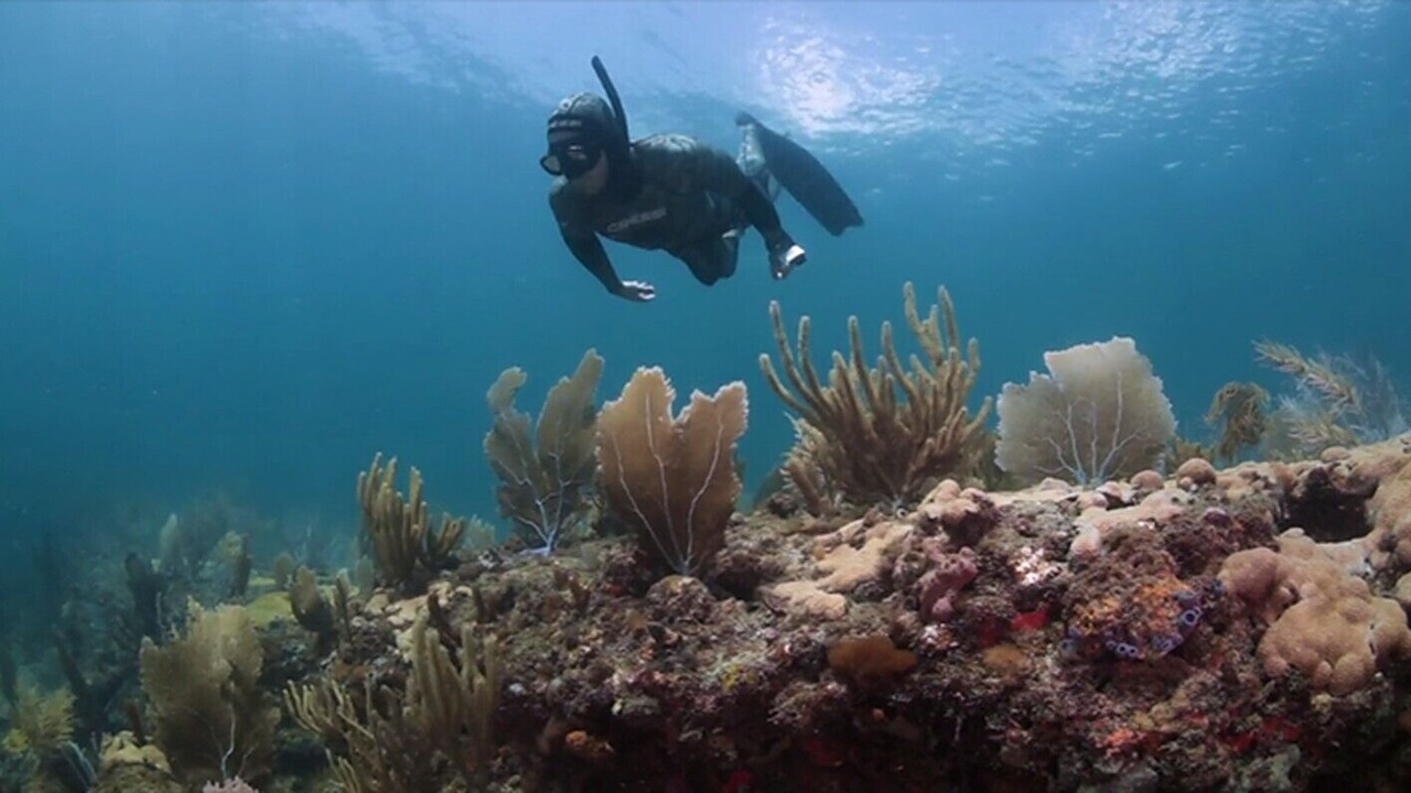 Photo of Others in Lauderdale-by-the-Sea