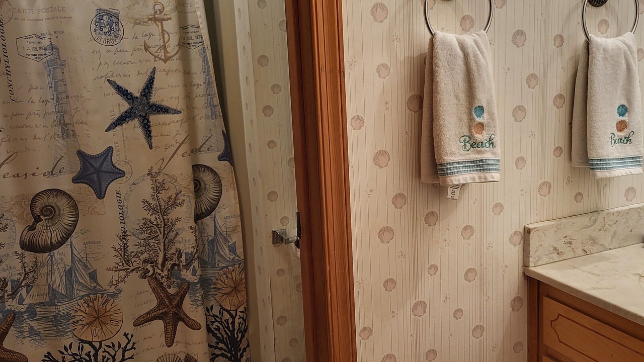 Photo of Bathroom in South Bethany Harbor