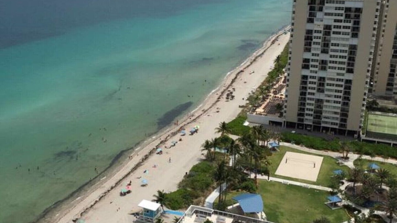 Photo of Outdoor in Hallandale Beach