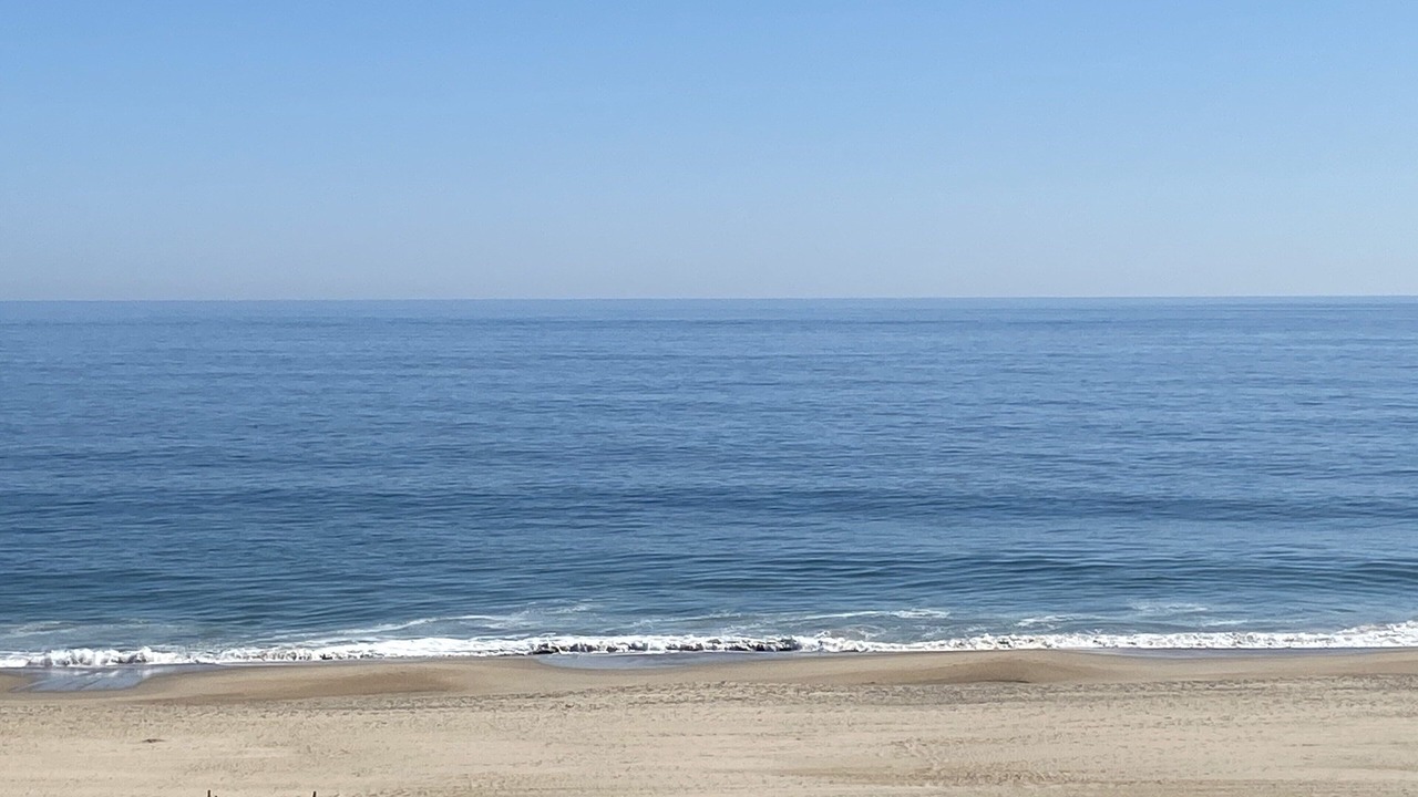 Photo of Others in Bethany Beach