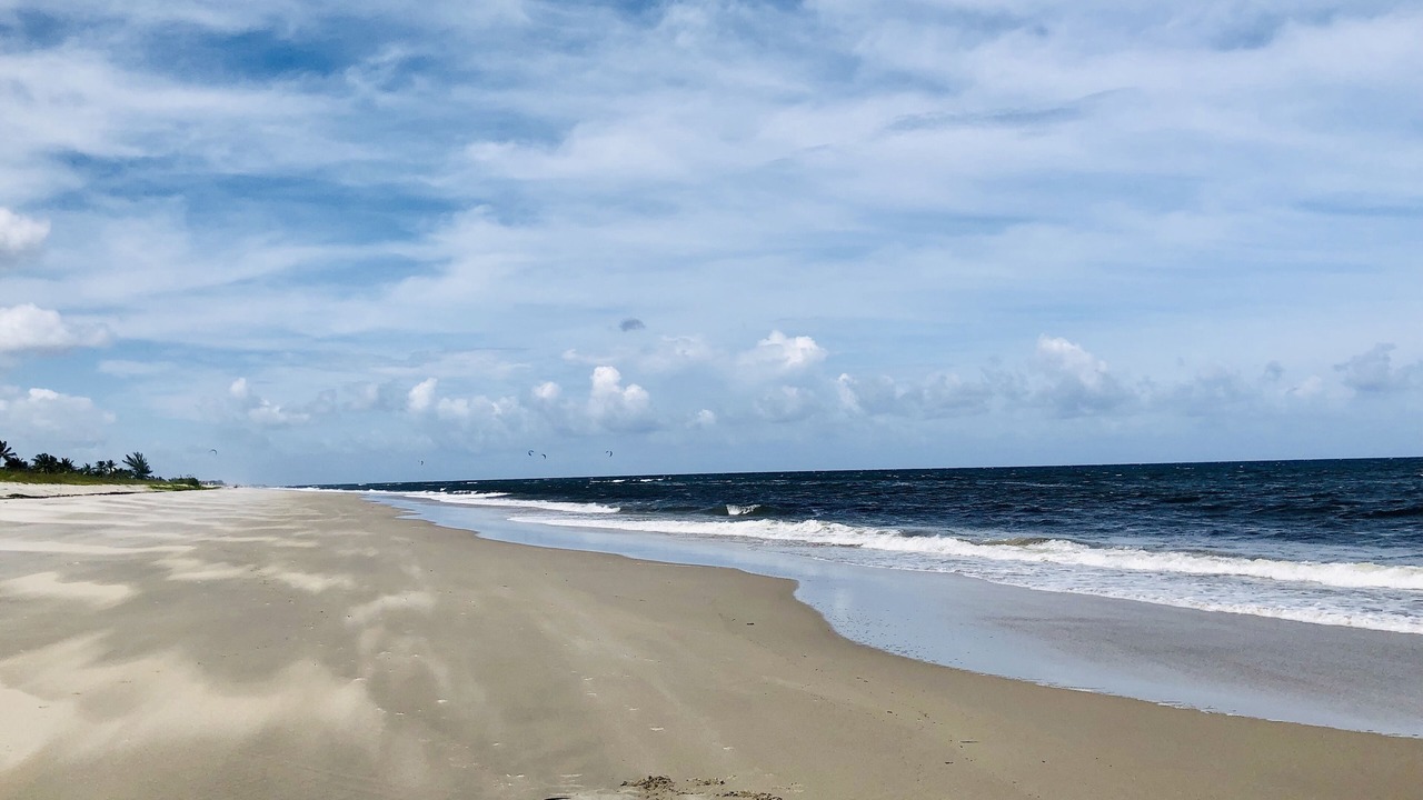 Photo of Others in Delray Beach