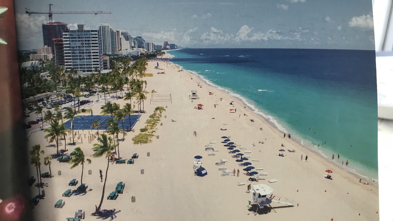 Photo of Others in East Fort Lauderdale