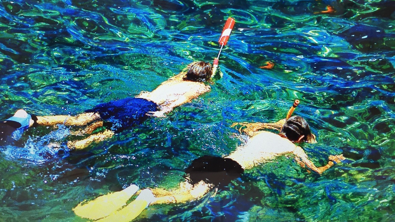 Photo of Others in East Fort Lauderdale