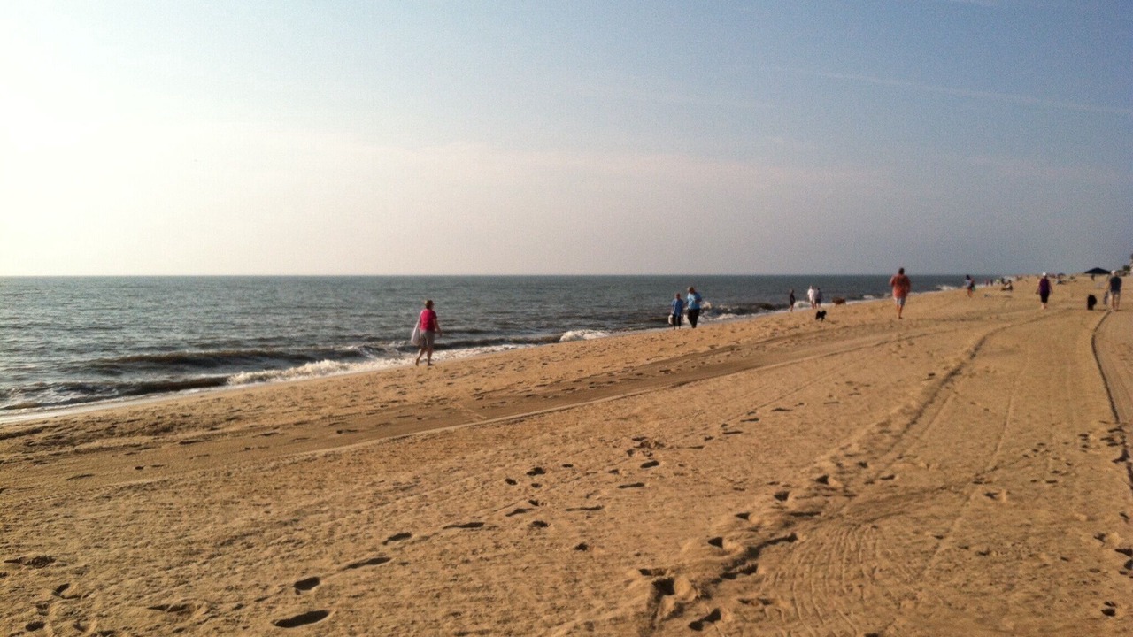 Photo of Others in Ocean View