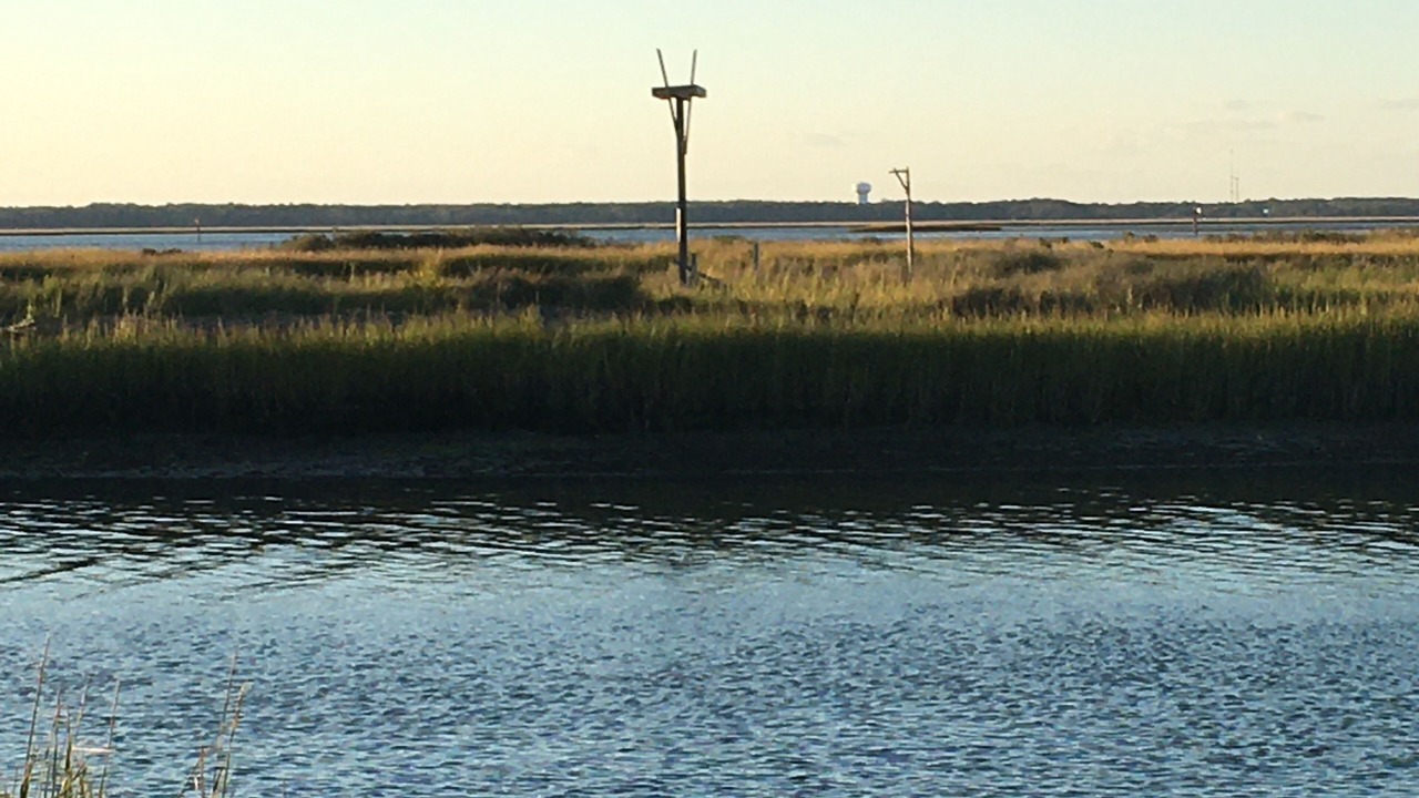 Photo of Others in North Wildwood