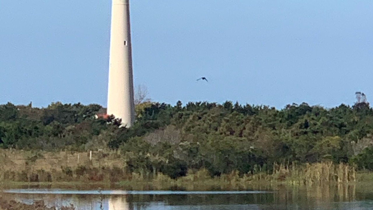 Photo of Others in West Cape May