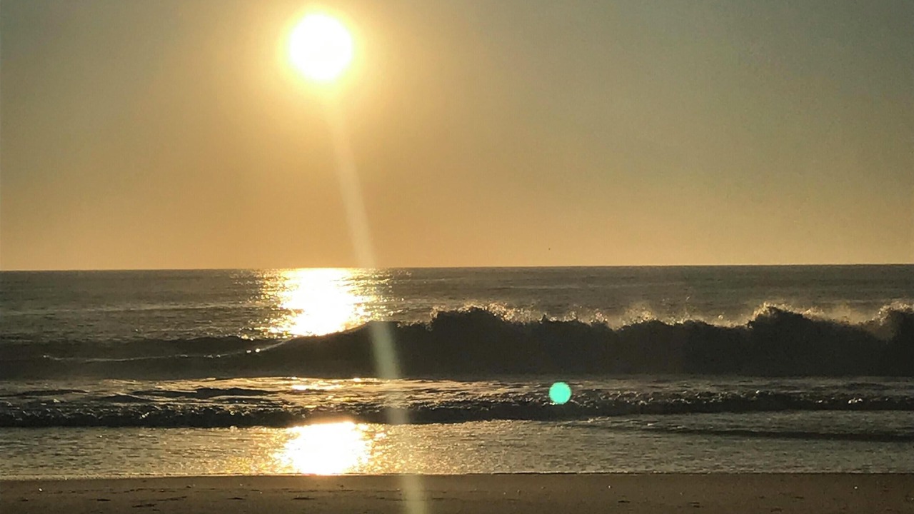 Photo of Others in Midtown Ocean City