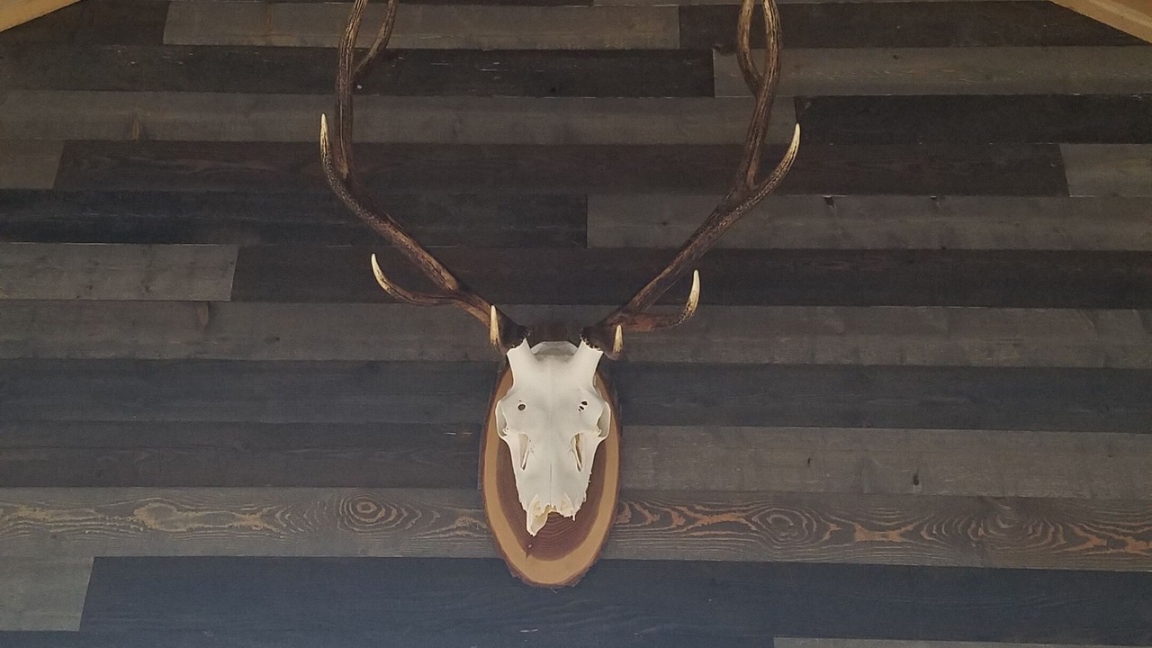 Photo of Others in Kalispell