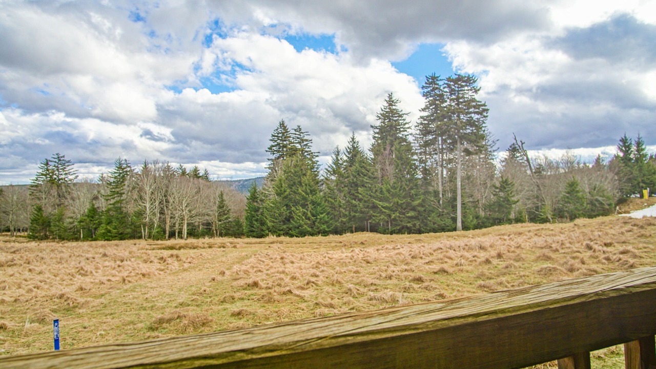 Photo of Outdoor in Edray