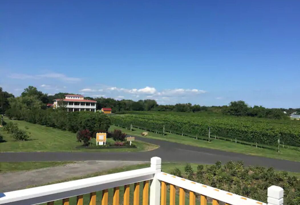 Photo of Outdoor in West Cape May