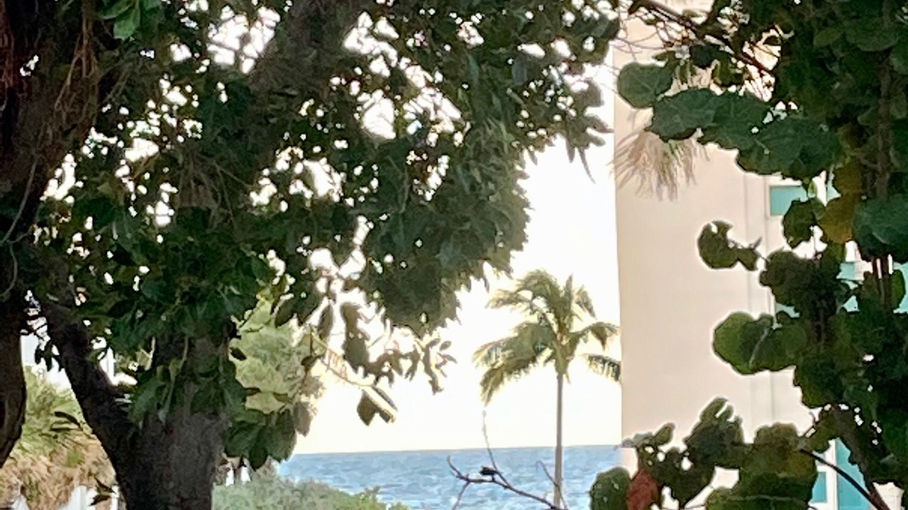 Photo of Outdoor in Bel Air