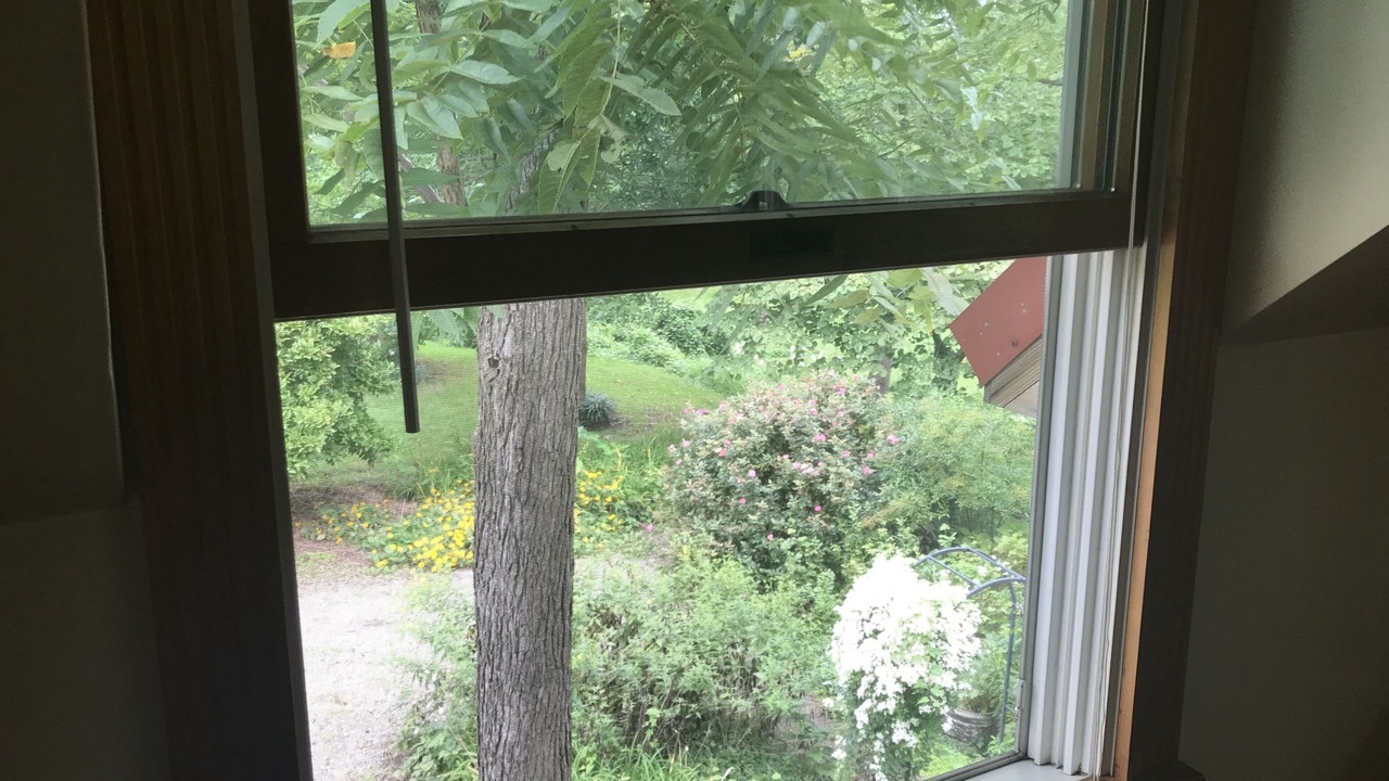 Photo of Others in Chestertown