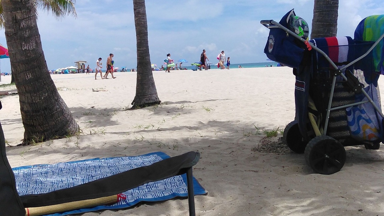 Photo of Others in Hollywood South Central Beach