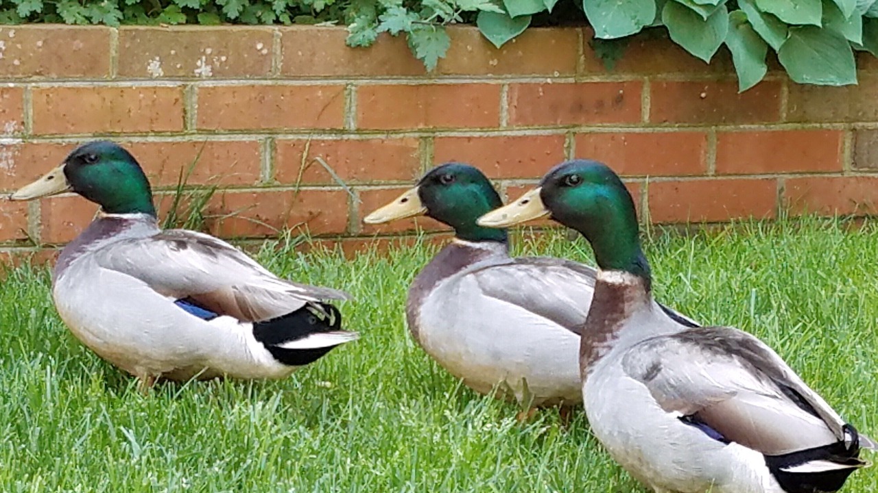 Photo of Others in Oxford