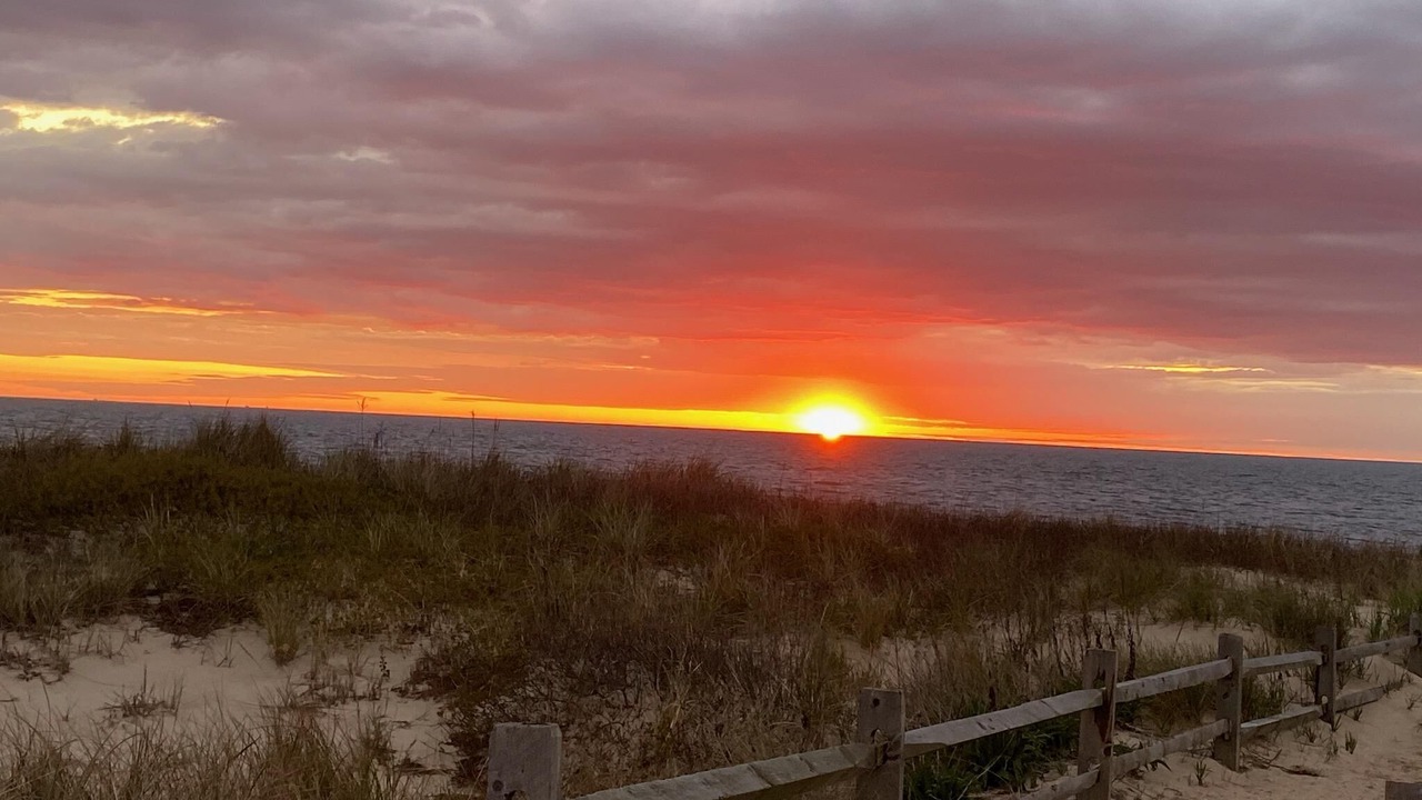 Photo of Others in North Cape May