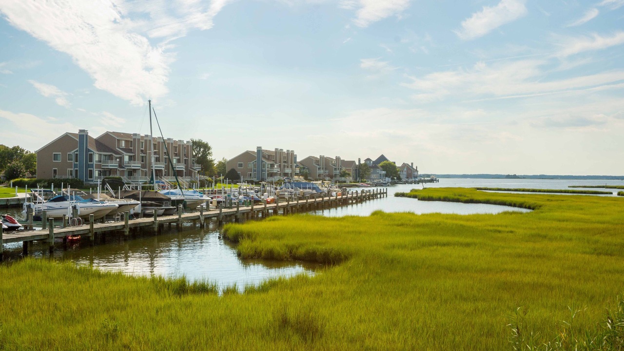 Photo of Others in North Ocean City