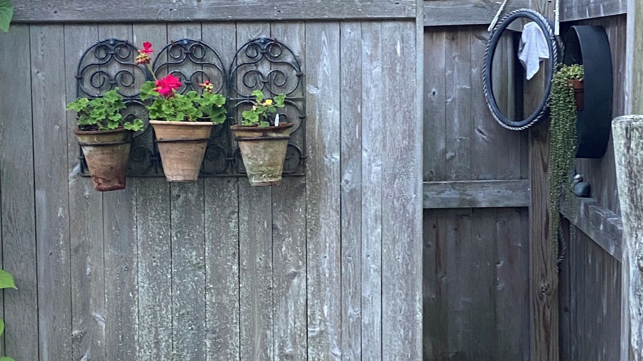 Photo of Outdoor in West Chatham