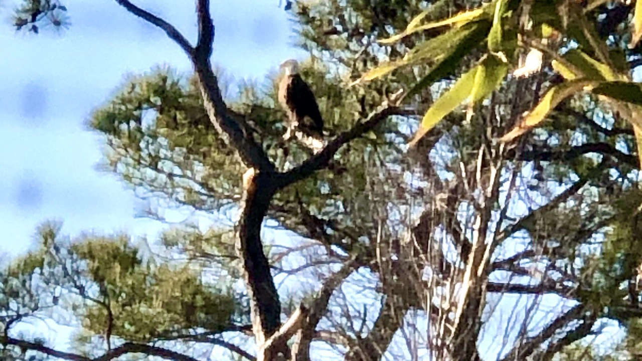 Photo of Others in Point Lookout
