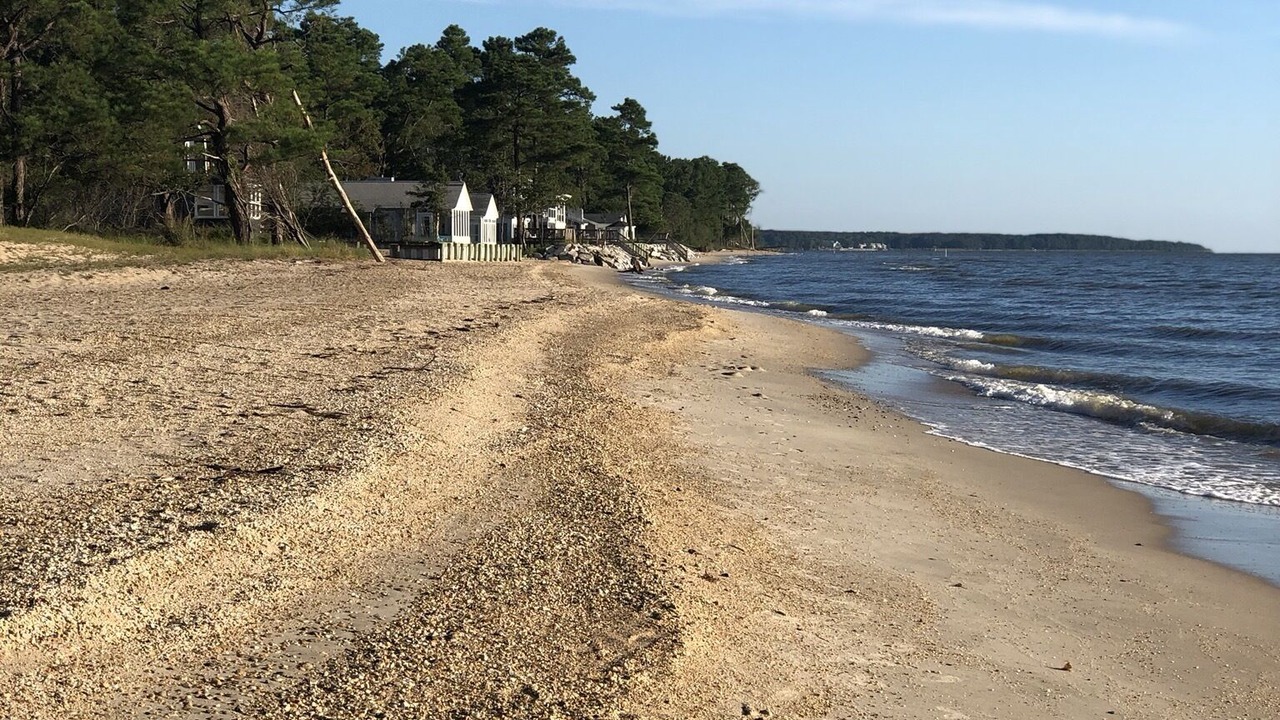 Photo of Others in Point Lookout