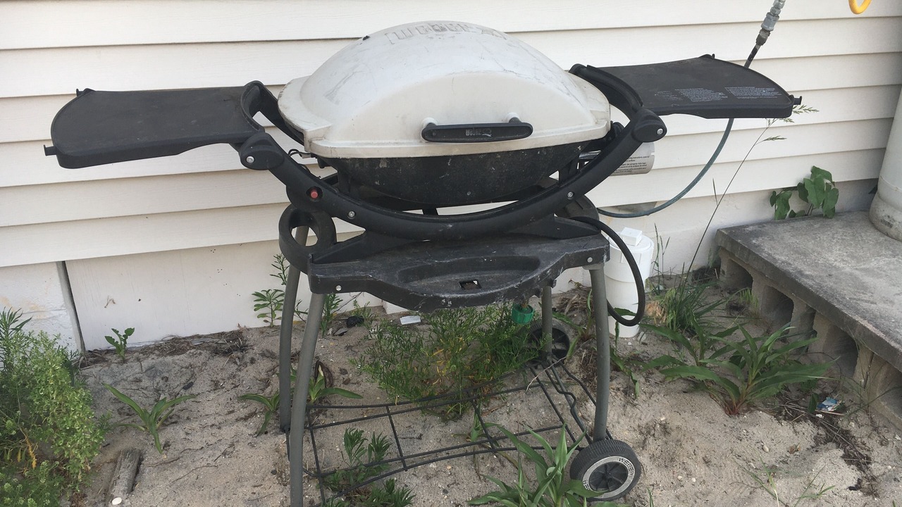 Photo of Outdoor in Broadkill Beach