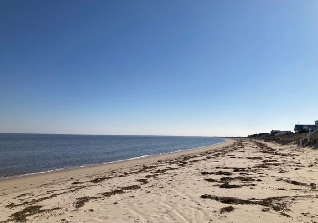 Photo of Others in Prime Hook Beach