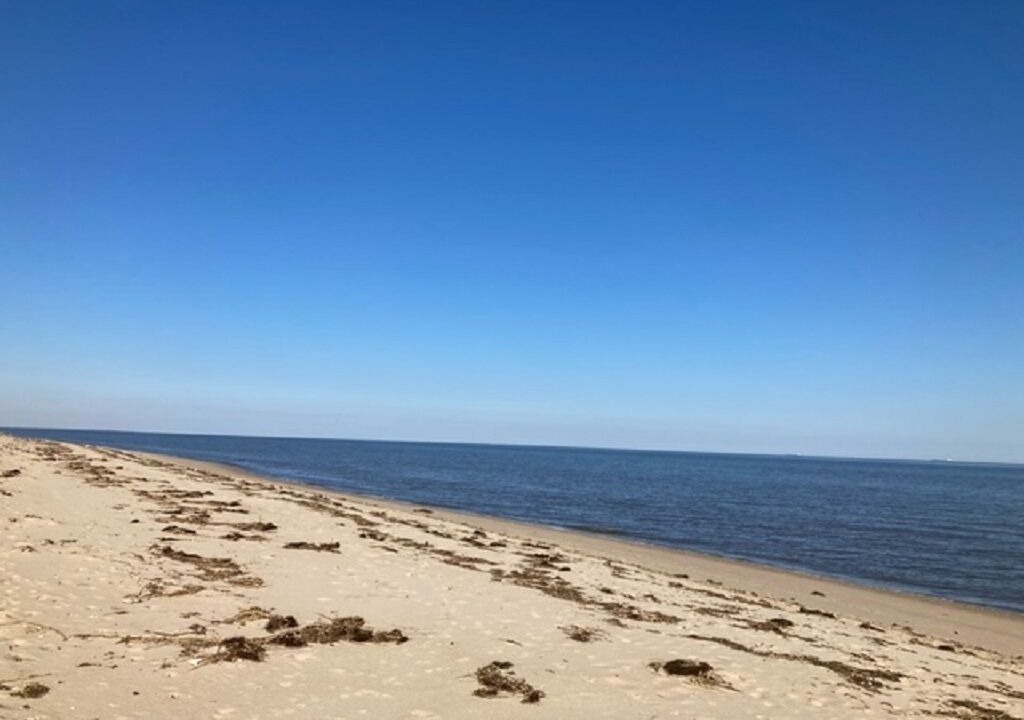 Photo of Others in Prime Hook Beach