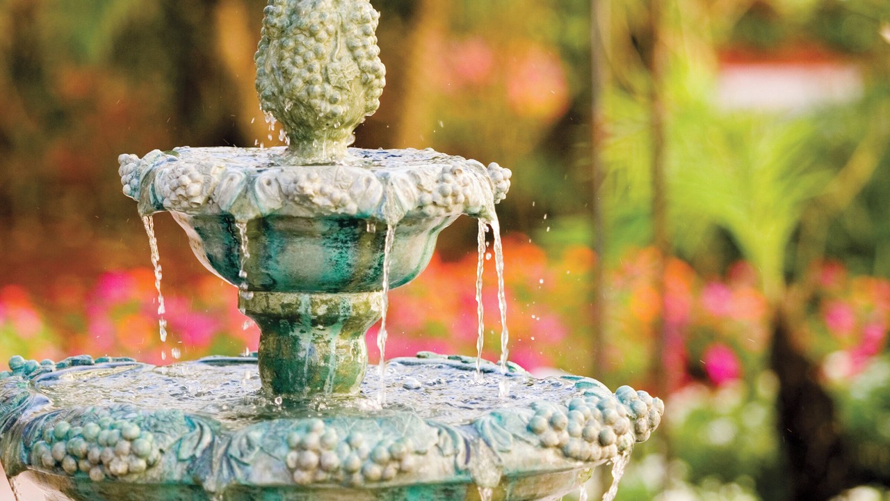 Photo of Others in Pompano Beach