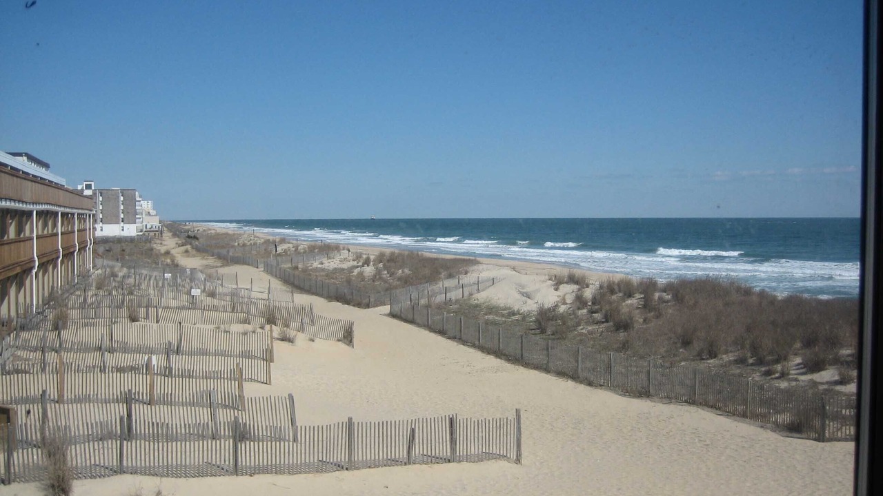 Photo of Others in Midtown Ocean City