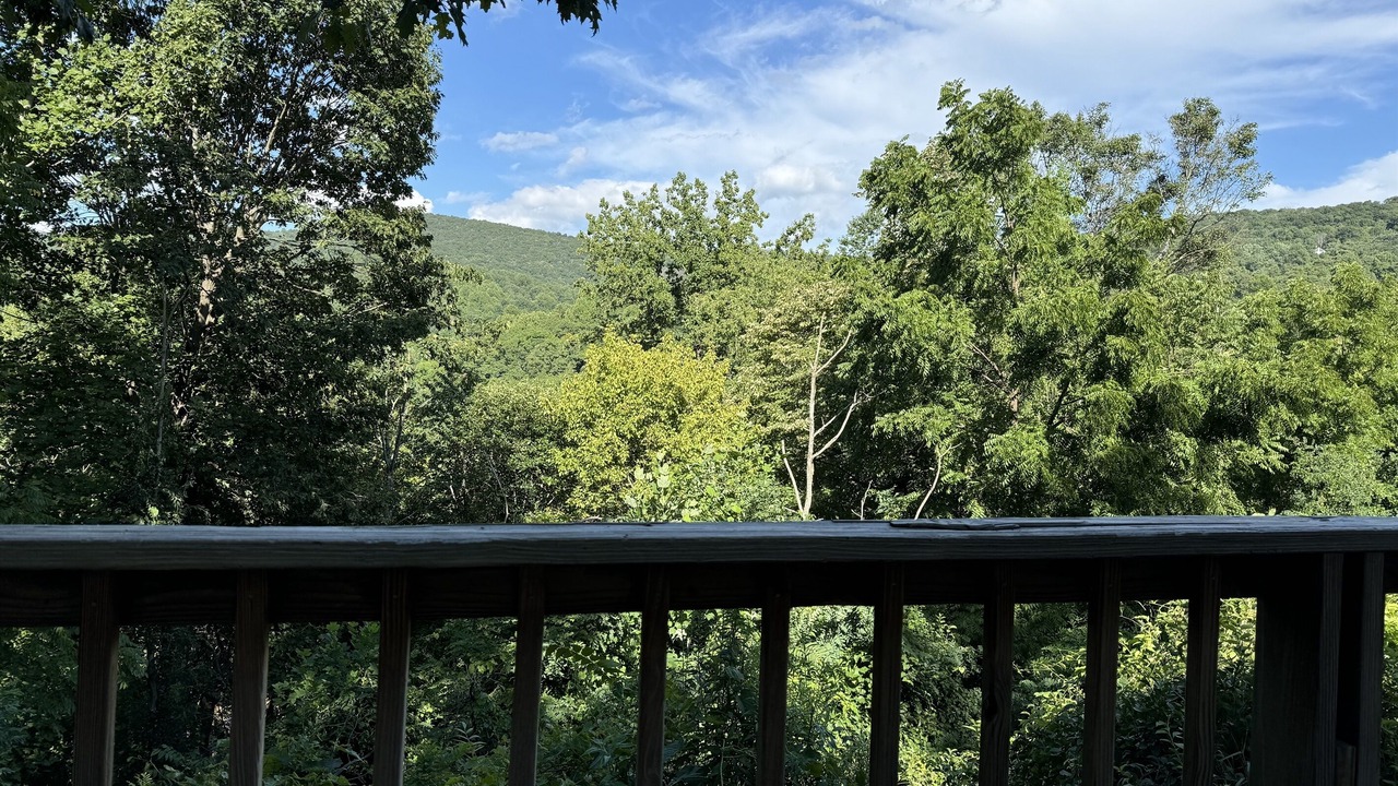 Photo of Outdoor in Stanley