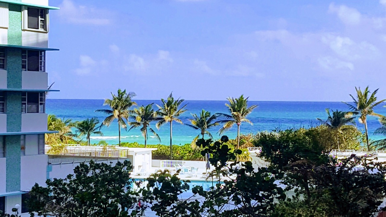 Photo of Outdoor in Mid Beach