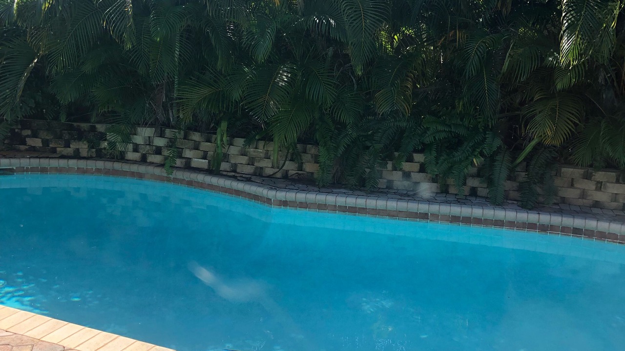 Photo of Outdoor in Middle River Terrace