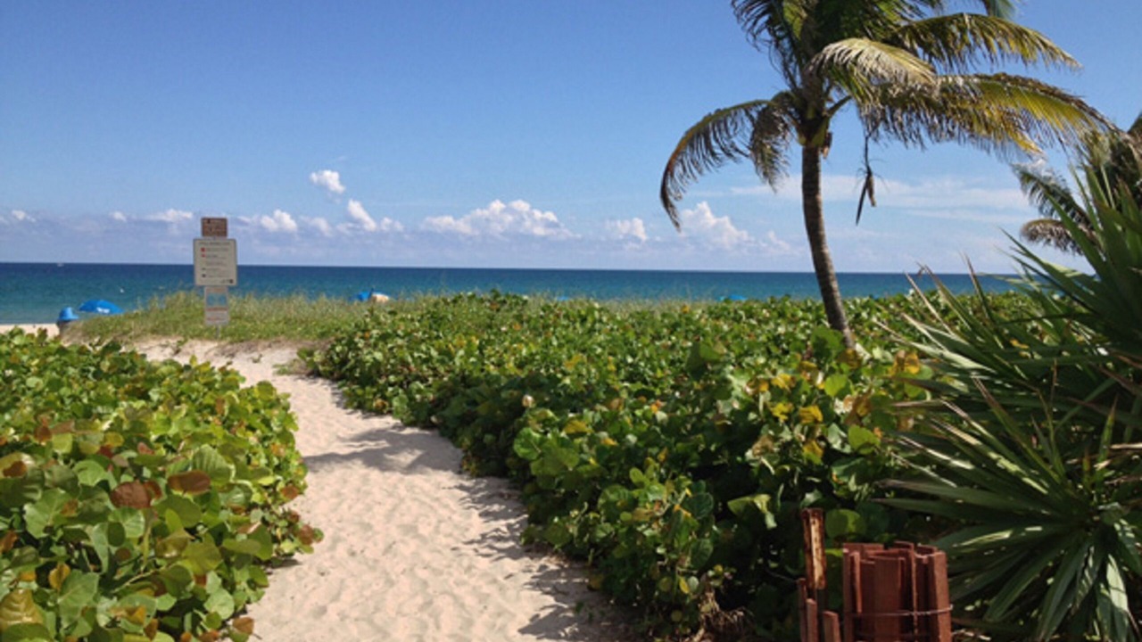 Photo of Others in Delray Beach