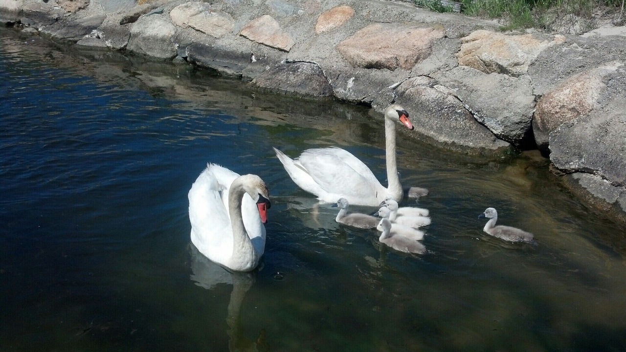 Photo of Outdoor in Falmouth