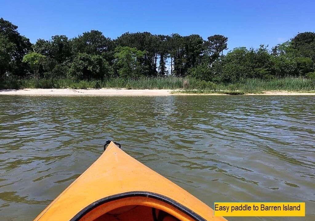 Photo of Others in Fishing Creek