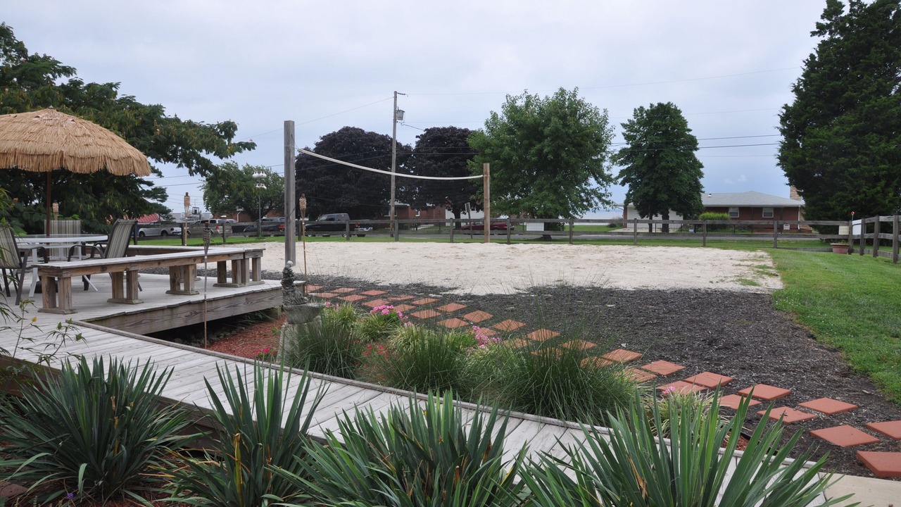 Photo of Others in Stevensville