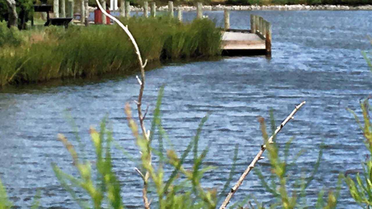 Photo of Outdoor in North Ocean City
