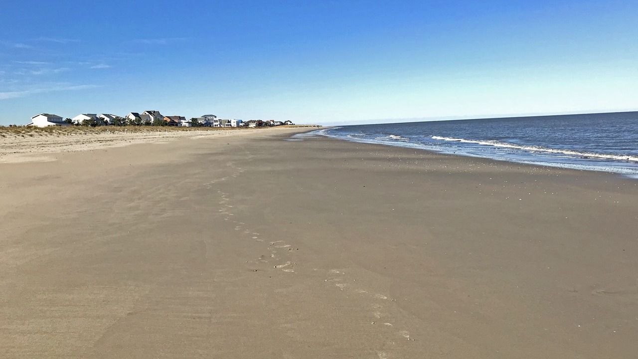 Photo of Others in Broadkill Beach