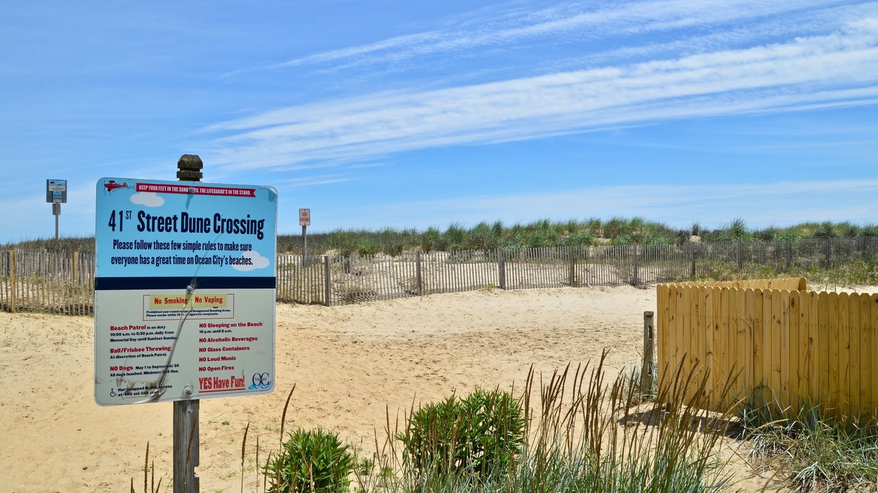 Photo of Outdoor in Midtown Ocean City