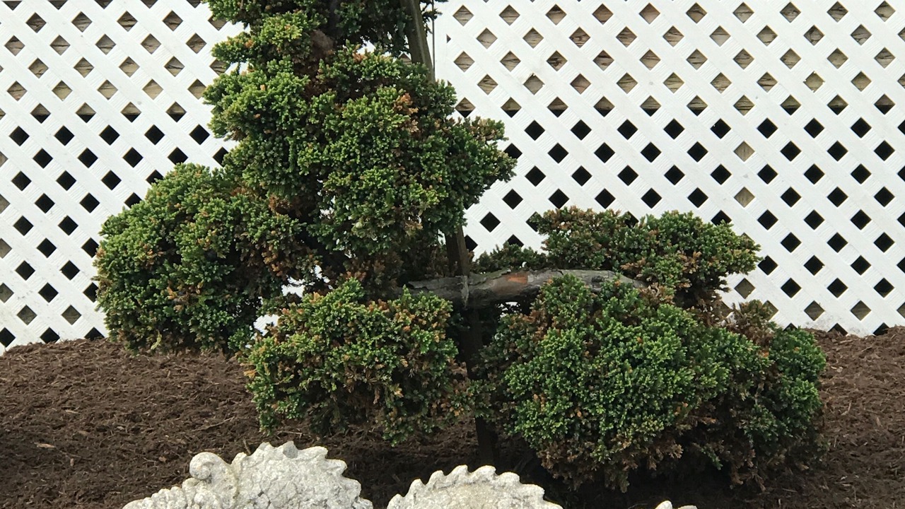 Photo of Outdoor in South End