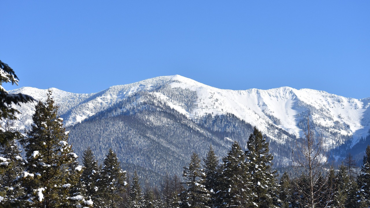 Photo of Others in Kalispell
