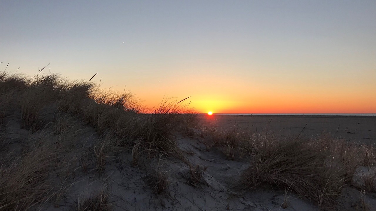 Photo of Others in Wildwood Crest