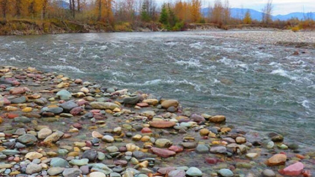 Photo of Others in Columbia Falls