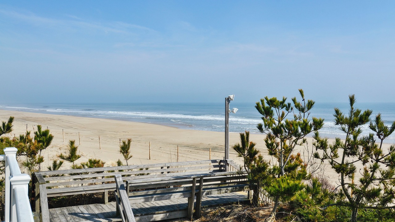 Photo of Others in Fenwick Island