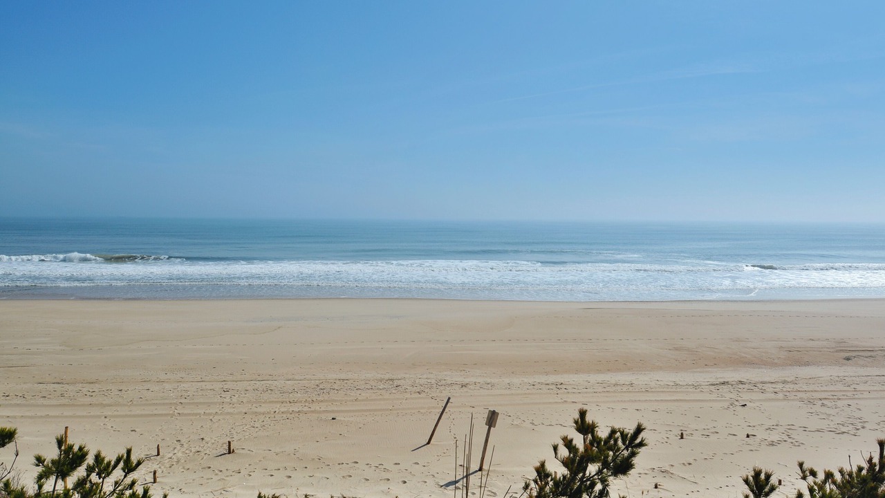 Photo of Others in Fenwick Island